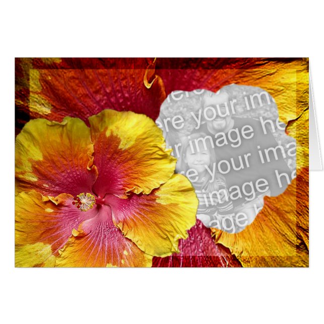 Hibiskusschablone 1 (Vorderseite (Horizontal))