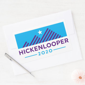 Hickenlooper 2020 rechteckiger aufkleber