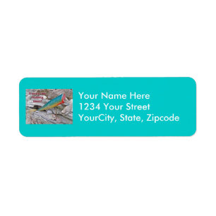 Hickey do Beachcomber Vintage Fishing Lure Label