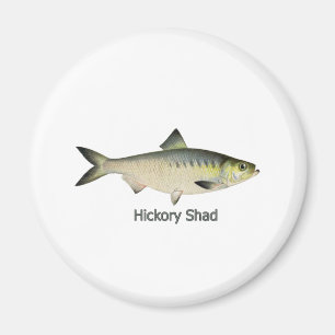 Hickory-Shad Magnet