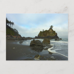 Hidden Beach II im Redwood-Nationalpark Postkarte