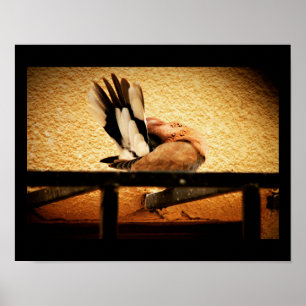 Hidden Beauty Poster