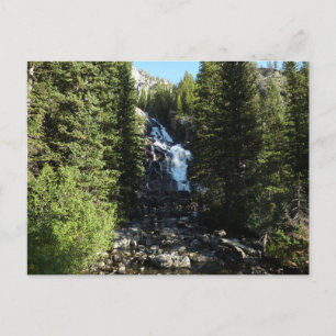 Hidden Falls im Grand-Teton-Nationalpark Postkarte