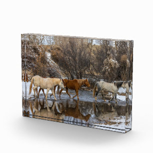 Hideout Horse Ranch Fotoblock