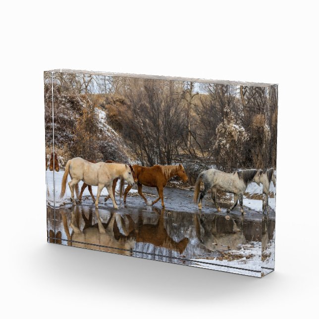 Hideout Horse Ranch Fotoblock (Rechts)