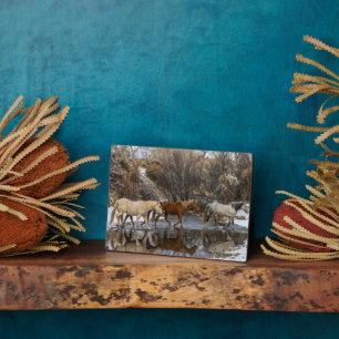 Hideout Horse Ranch Fotoplatte