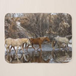 Hideout Horse Ranch Sherpadecke
