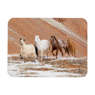 Hideout Ranch mit kleinem Pferdebestand im Schnee Magnet