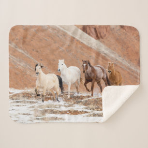 Hideout Ranch mit kleiner Herde Pferde im Schnee Sherpadecke