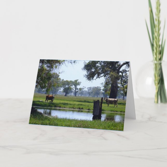 Hier betrachtet Sie Karte (Vorderseite)