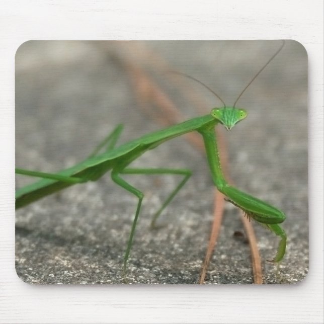 Hier betrachtet Sie (seitlich) Mousepad (Vorne)