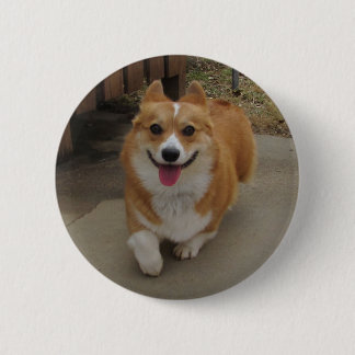 Hier bin ich! button