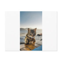 "Hier bin ich", sagt die Katze