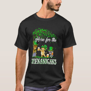 Hier für die Schelmereien Leprechaun Kuh St. Patri T-Shirt