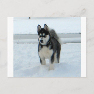 Hier ist Ärger Postkarte