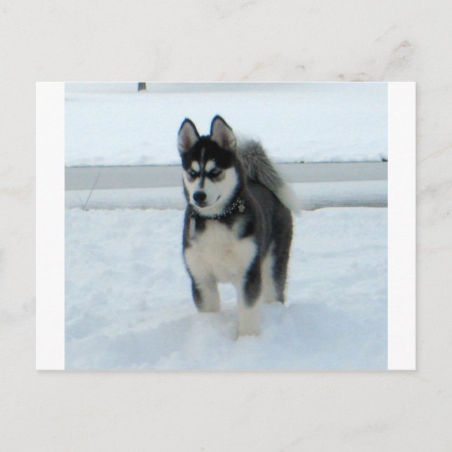 Hier ist Ärger Postkarte (Vorderseite)