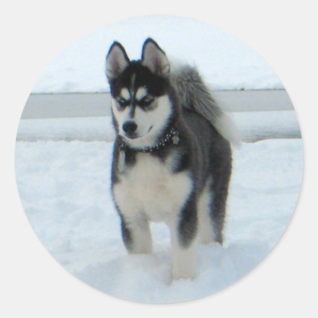 Hier ist Ärger Runder Aufkleber (Vorderseite)