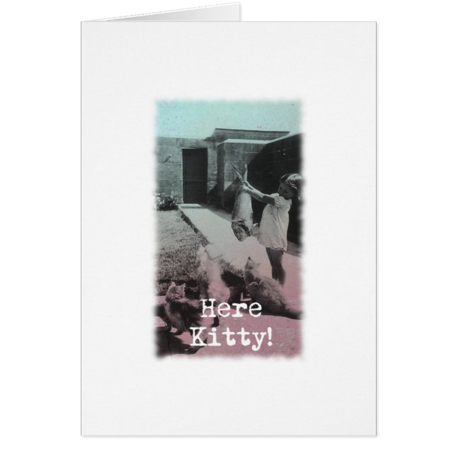 Hier, Kitty! (Vorne)