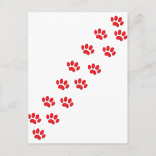 Hier Kitty Cat Paws Postkarte