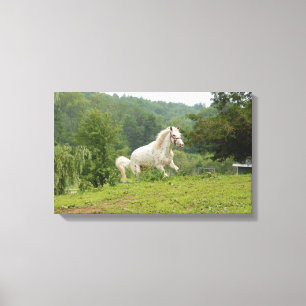 Hier komme ich leinwanddruck