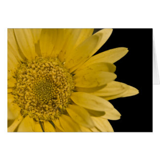 Hier kommt die Sonne