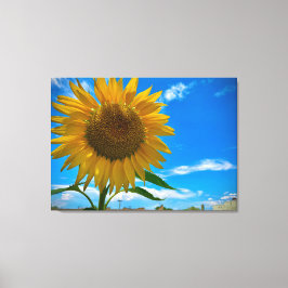 Hier kommt die Sonne Leinwanddruck