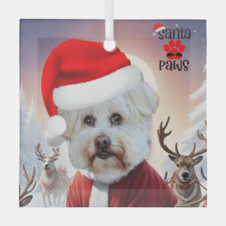 Hier kommt Santa Dog Ornament
