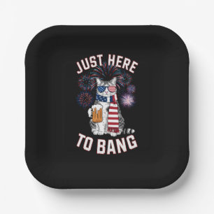 Hier nur um USA-Flagge Bier Katzenliebhaber 4. Jul Pappteller
