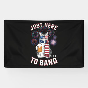 Hier nur um USA-Flagge-Bier-Katzenliebhaber am 4. Banner