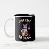 Hier nur um USA-Flagge-Bier-Katzenliebhaber am 4.