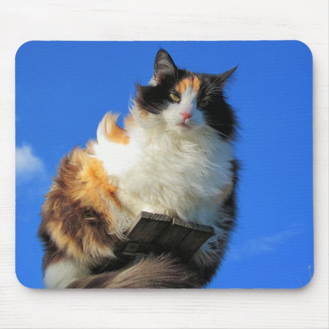 Hier oben aufschlagen mousepad (Vorne)