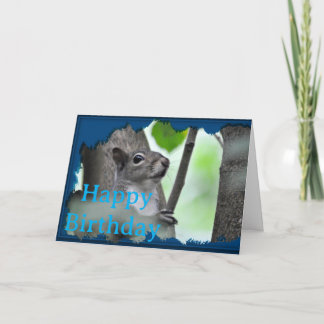Hier siehst du ihn - Ein Eichhörnchen in Blau_0213 Karte