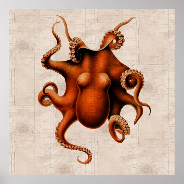 Hier sind Monster Poster (Vorne)