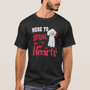Hier, um Herzen zu stehlen Lustiger Toy-Pudel Vale T-Shirt