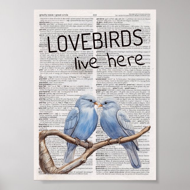 Hier wohnen Lovebirds Poster (Vorne)