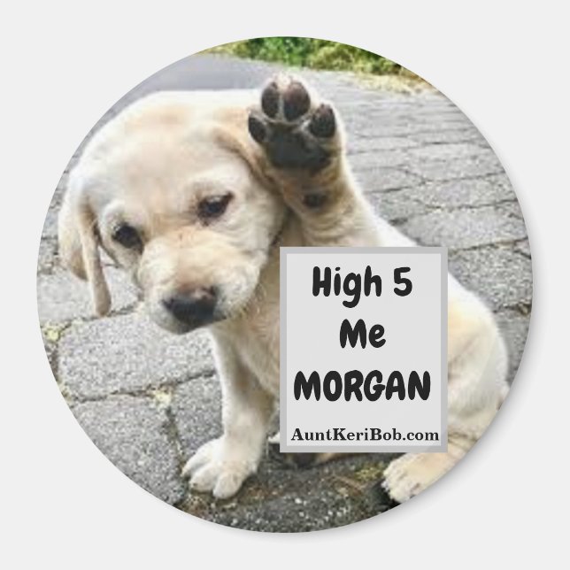 High 5 Me MORGAN Puppy Magnet (Vorne)