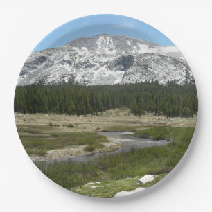 High Country Mountain Stream I Pappteller