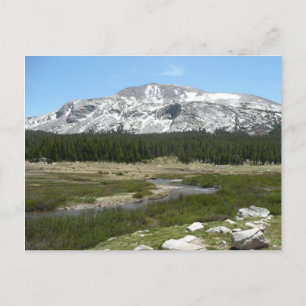 High Country Mountain Stream I Postkarte