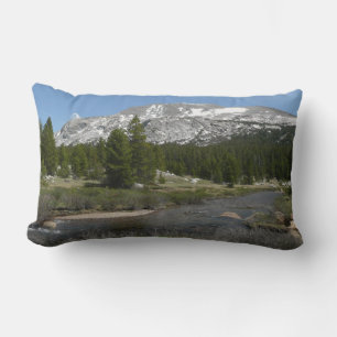 High Country Mountain Stream II in Yosemite Lendenkissen