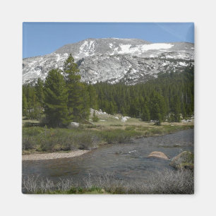 High Country Mountain Stream II in Yosemite Magnet