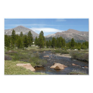 High Country Mountain Stream III im Yosemite Fotodruck