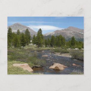 High Country Mountain Stream III im Yosemite Postkarte