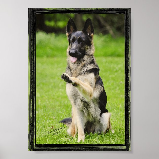 High Five German Shepherd Poster (Vorne)