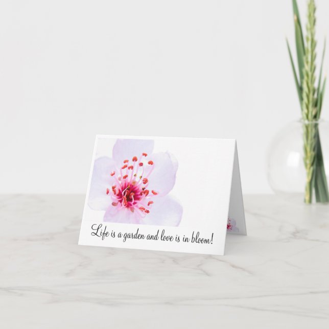 High-key-sakura-blüte-800, Life ist ein Garten a.. Karte (Vorderseite)