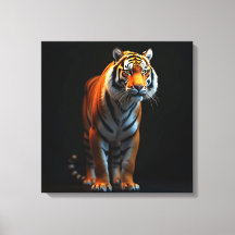 High Quality Full Size Tiger on Black|