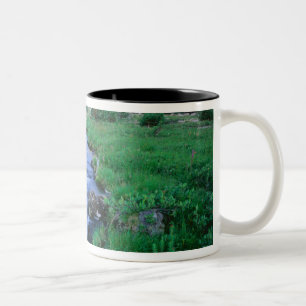 HIGH UINTAS WILDERNESS, UTAH. Stillwater Fork Zweifarbige Tasse