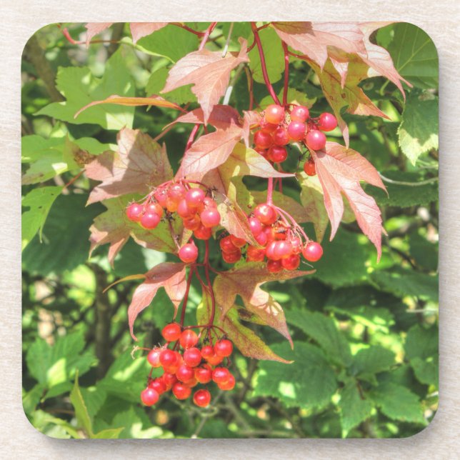 Highbush Cranberries Untersetzer (Vorderseite)