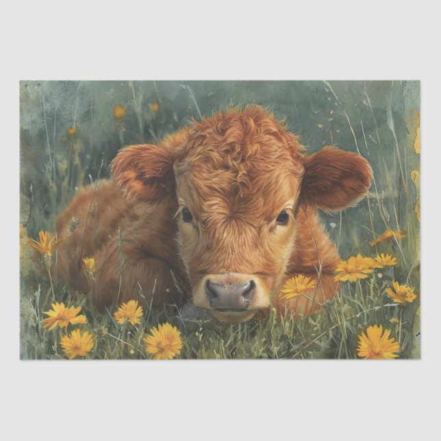 Highland Baby Cow Seidenpapier (Vorderseite)