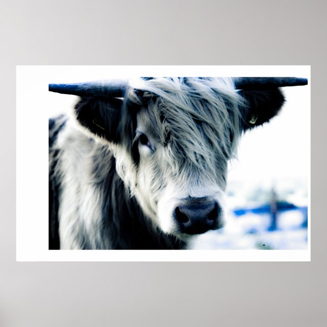 Highland Blue Poster (Vorne)