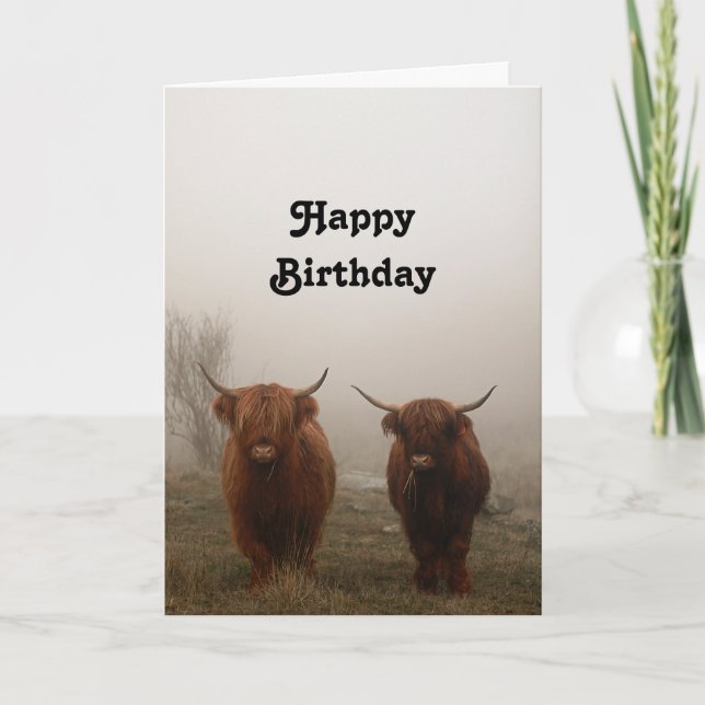 Highland Cattle Birthday Karte (Vorderseite)